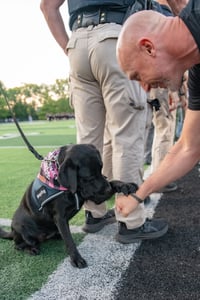 coach-marshall-dog-patriot-night-2025